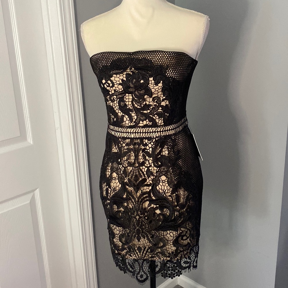 Express Lace Dress